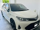 Toyota Axio WXB 2018