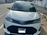 Toyota Axio WXB 2018