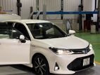 Toyota Axio WxB 2018