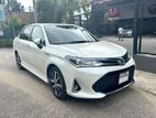 Toyota Axio WXB 2019