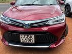 Toyota Axio WXB 2019