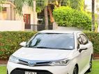 Toyota Axio Wxb 2019