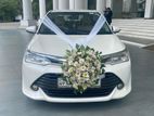 Toyota Axio WXB Car for Rent and Wedding Hire