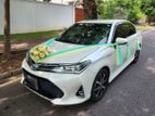 Toyota Axio WXB Car For Rent and Wedding Hire