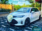 Toyota Axio WXB Car for Rent and Wedding Hire