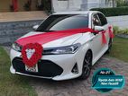 Toyota Axio WXB Car for Rent and Wedding Hire