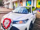 Toyota Axio WXB Car for Rent and Wedding Hire