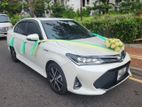 Toyota Axio WXB Car for Rent Wedding Hire