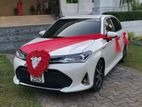 Toyota Axio WXB Car for Wedding Hire and Rent