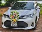 Toyota Axio WXB Car for Wedding Hire and Rent