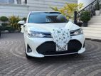 Toyota Axio Wxb Car for Wedding Hire