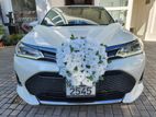 Toyota Axio WXB Cars for Rent / Wedding Hire