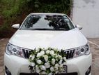 Toyota Axio WXB G Grade Car for Rent and Wedding Hire