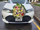 Toyota Axio WXB Hybrid Car for Rent and Wedding Hire