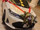 Toyota Axio WXB Hybrid Car For Rent and Wedding Hire