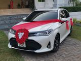 Toyota Axio WXB Hybrid Car for Rent Wedding Hire