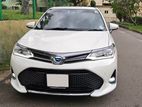Toyota Axio WXB IVERY PACKAGE 2018