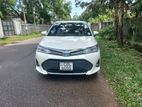 Toyota Axio WXB New Version 2019