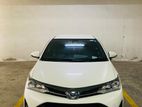 Toyota Axio WXB Sport Top Grade 2018