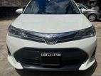 Toyota Axio WXP for Rent 2019