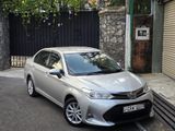 Toyota Axio X Limited 2017