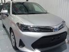 Toyota Axio XS 2024
