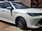 Toyota Axio(Hybrid)WXB Car-For Rent