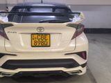 Toyota CHR for Rent