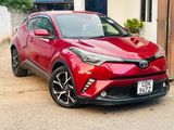 Toyota CHR For Rent