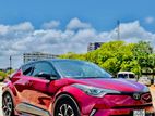 Toyota Chr for Rent