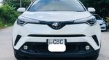 Toyota CHR for Rent