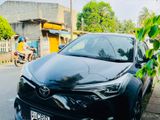 Toyota CHR for Rent