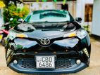 Toyota Chr for Rent