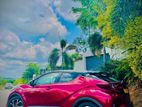 Toyota Chr for Rent
