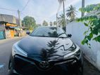 Toyota CHR for rent