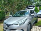 Toyota CHR is for Rent