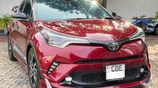 Toyota CHR NGX10 2019