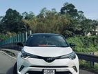 Toyota CHR Rent 2019