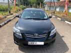 Toyota Corolla 141 Car For Rent