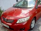 Toyota Corolla 141 for Rent