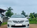 Toyota Corolla 141 - for Rent