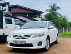 Toyota Corolla 141 - for Rent