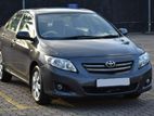 Toyota Corolla 141 for Rent