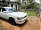 Toyota Corolla 1996