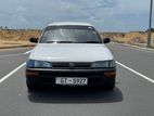 Toyota Corolla elephant back 1999