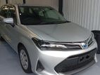 Toyota Corolla Feilder 2023