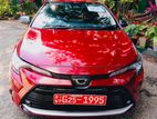Toyota Corolla G GRADE WINE RED 2023