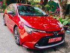 Toyota Corolla G RRADE WINE RED- 2023