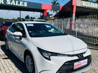 Toyota Corolla wxb 2022