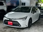 Toyota Corolla WXB 2023